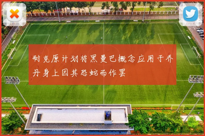 耐克原计划将黑曼巴概念应用于乔丹身上因其恐蛇而作罢